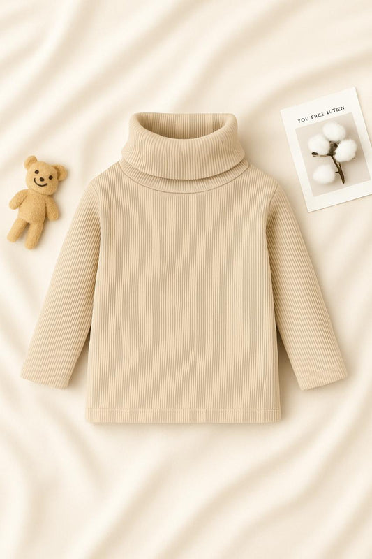 Pack of 2 baby/boy winter high neck top